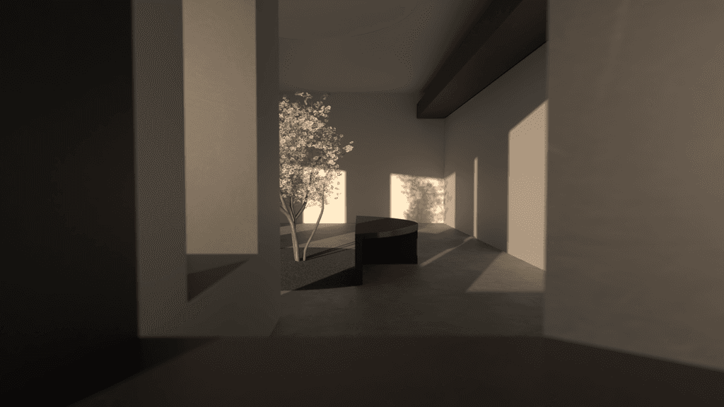 Minimalist interior space with dramatic natural lighting and tree element